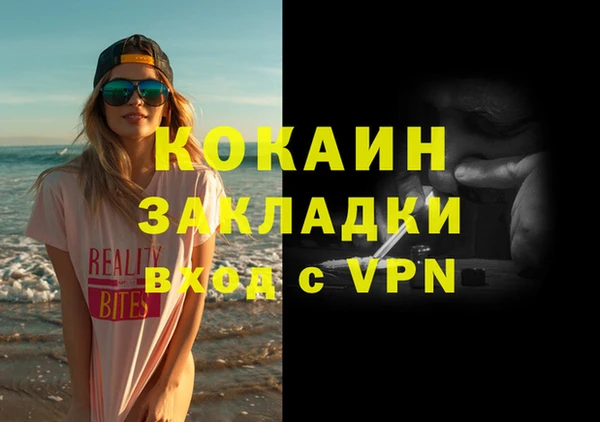 твердый Дмитриев