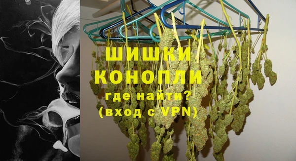 твердый Дмитриев