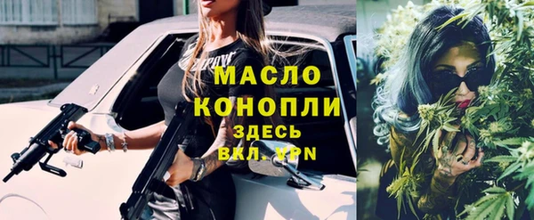 твердый Дмитриев