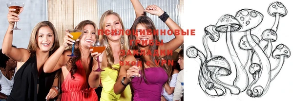 твердый Дмитриев