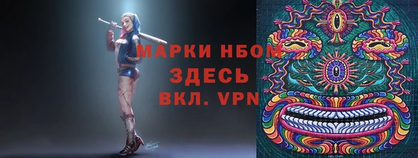 твердый Дмитриев