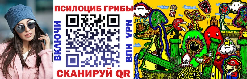 Купить  Нарьян-Мар  Галлюциногенные грибы Cubensis 